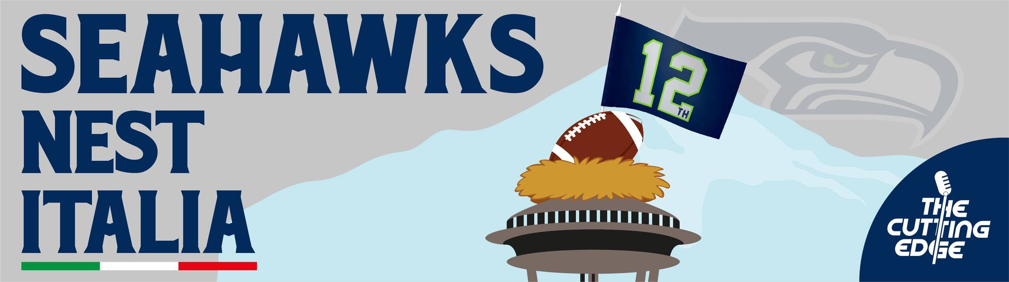 seattke seahawks nest